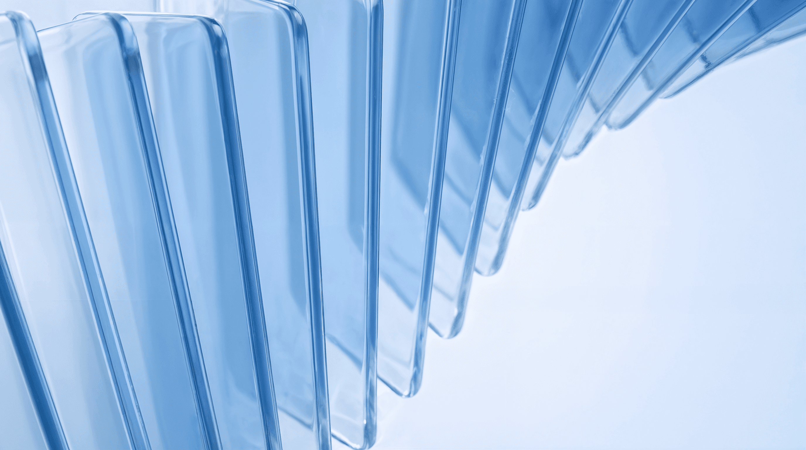 Programa empresa familiar